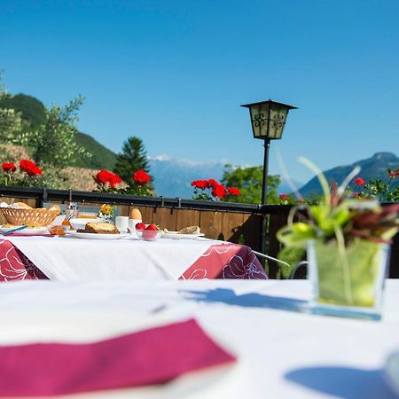 Pension Stamserhof Nalles Εξωτερικό φωτογραφία