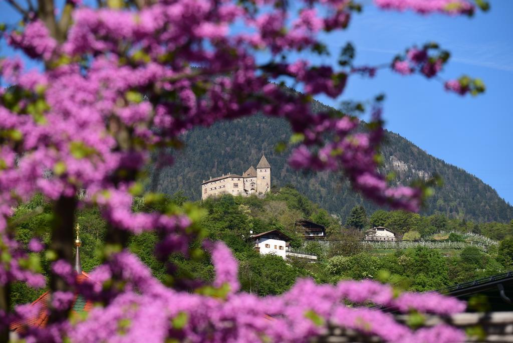 Pension Stamserhof Nalles Εξωτερικό φωτογραφία